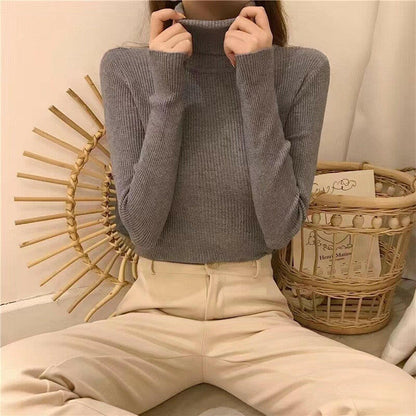 Half High Collar Inner Lining Bottom Sweater