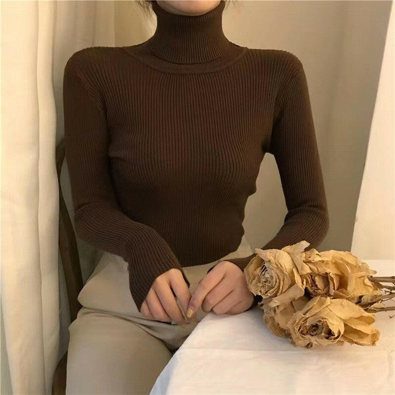 Half High Collar Inner Lining Bottom Sweater