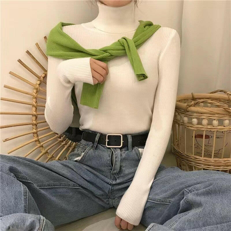 Half High Collar Inner Lining Bottom Sweater