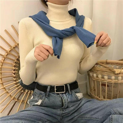 Half High Collar Inner Lining Bottom Sweater