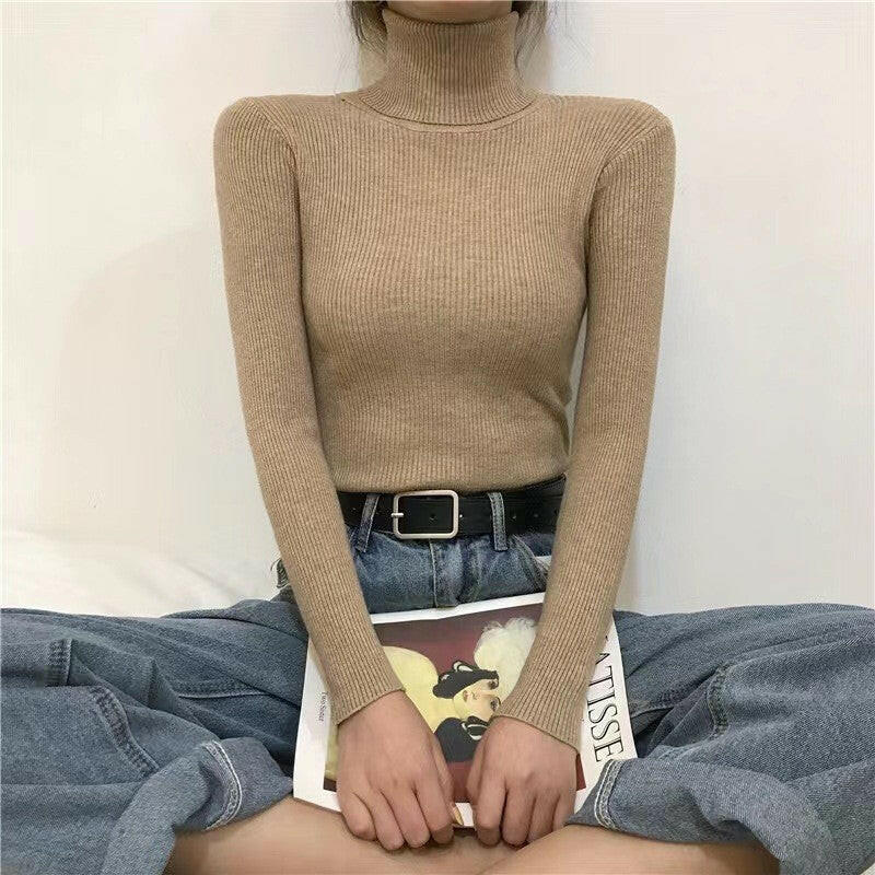 Half High Collar Inner Lining Bottom Sweater